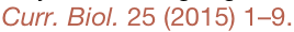 shapeimage_1_link_5
